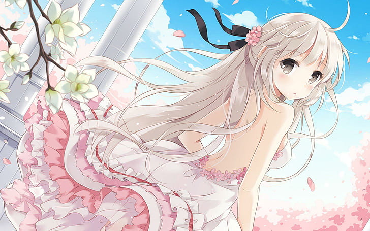 HD wallpaper: Anime girl, Cute, Spring, Cherry blossoms, ACG, Japanese anime