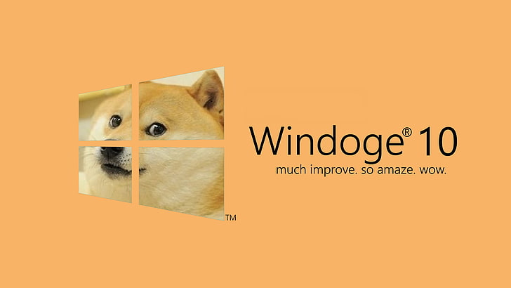 HD wallpaper: Windoge 10 logo, Microsoft Windows, Windows 10, memes, pets, animal
