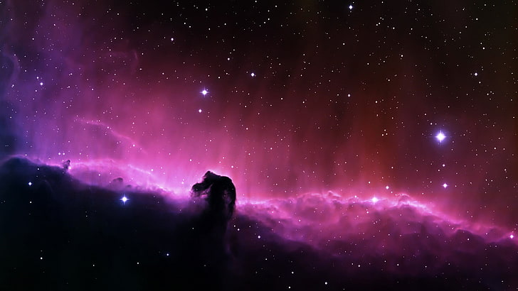 HD wallpaper: pink and black galaxy wallpaper, stars, space, Horsehead Nebula