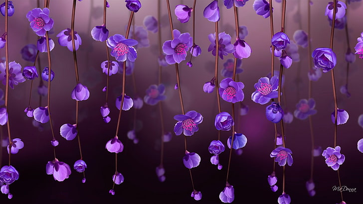 HD wallpaper: purple orchid digital wallpaper, pink petaled flowers, purple flowers